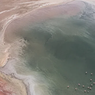 Veduta aerea del cratere del Ngorongoro Veduta aerea del cratere del Ngorongoro