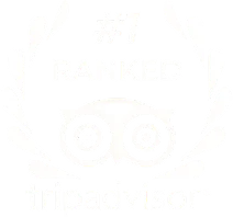 Altezza Travel al 1° posto su Tripadvisor
