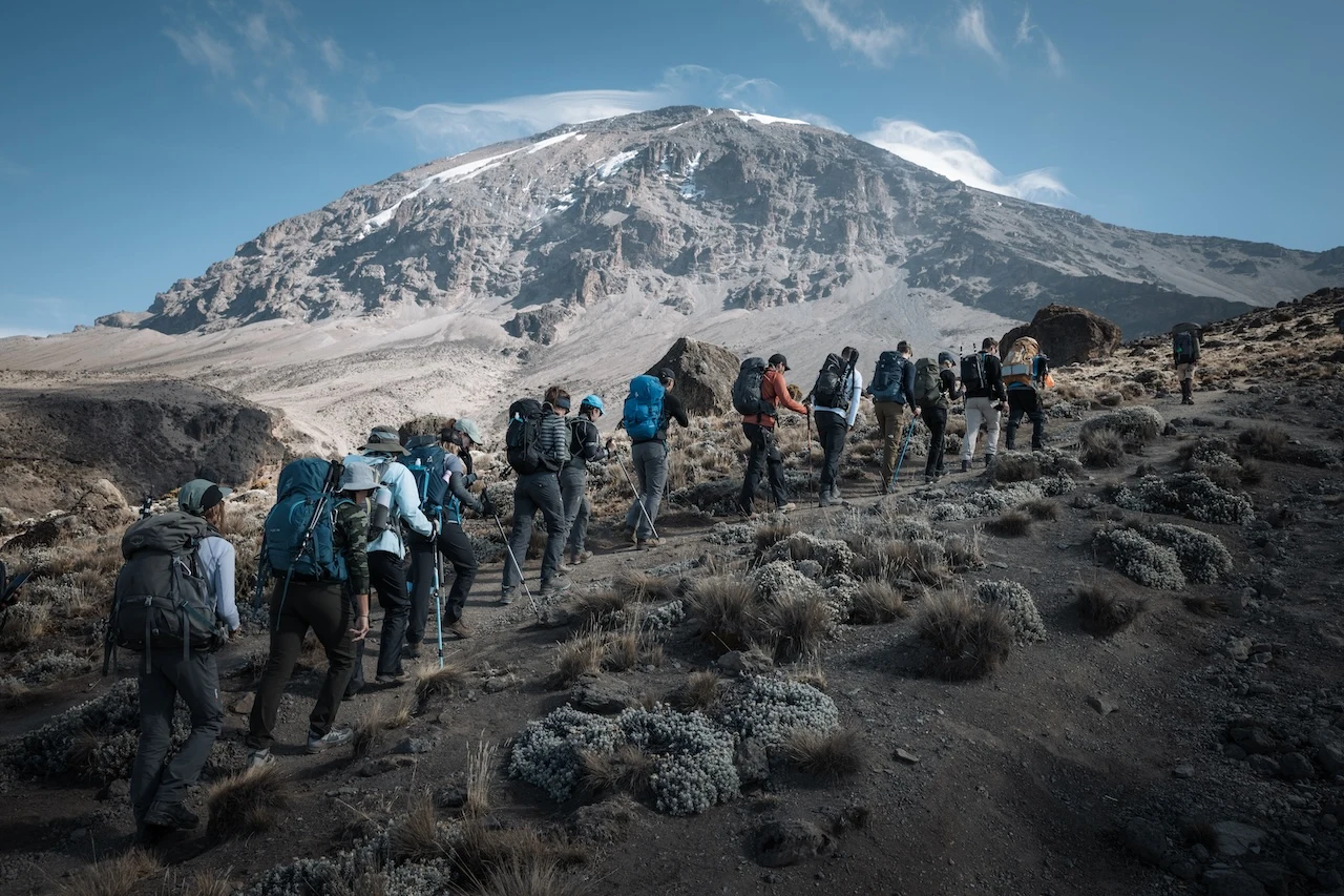 Alpinisti Altezza in un viaggio condiviso sul Kilimangiaro