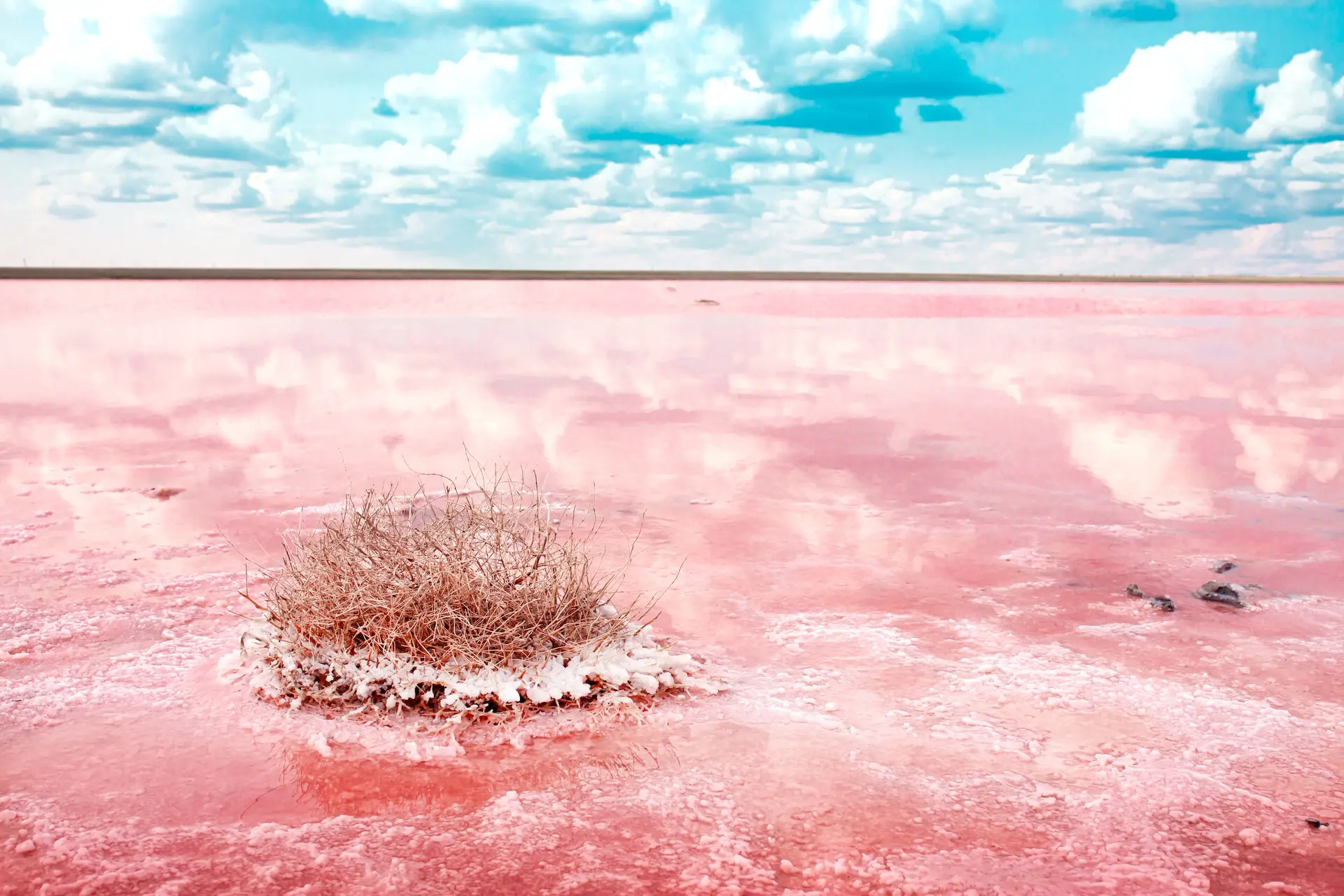 Durante la stagione secca, il lago diventa rosso e si ricopre di sale. Foto: Vera Larina / Shutterstock
