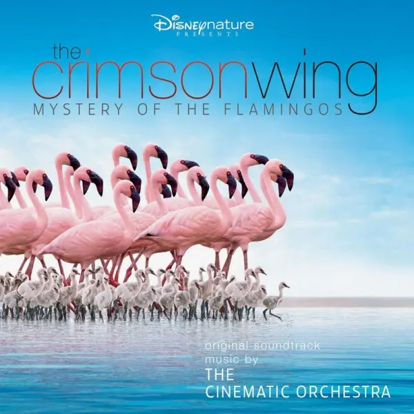 Copertina del documentario «The Crimson Wing: Mystery of the Flamingos»