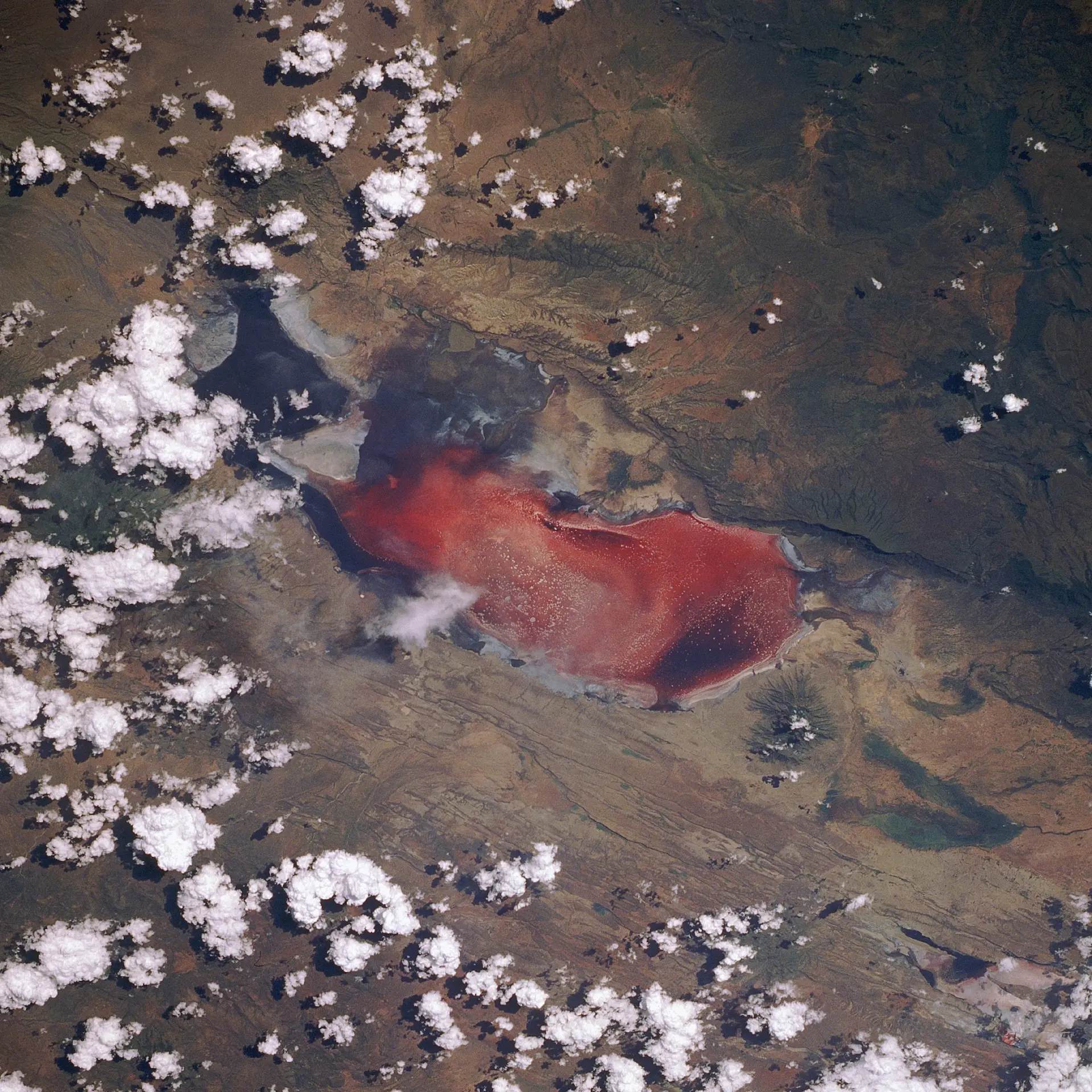 Il lago Natron, talvolta chiamato «il lago rosso mortale», visto dallo Space Shuttle Discovery durante la missione STS-29. Foto: NASA