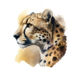 Ghepardo