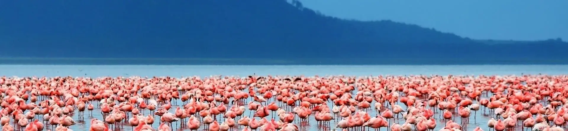Lago Manyara Lago Manyara