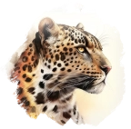 Leopardo