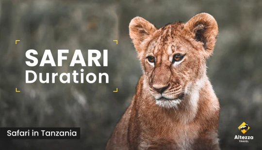 Pianificare un safari: quanti giorni servono?