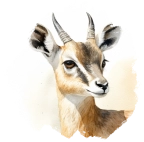 Antilope saltarupe