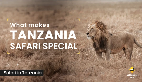 Che cosa rende speciale un safari in Tanzania