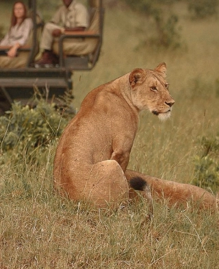 Parco Nazionale del Serengeti