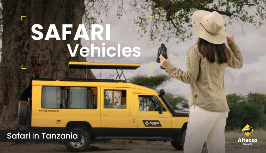 Gli elementi essenziali di un veicolo safari perfetto